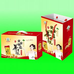 綠之源黃金猴菇養(yǎng)胃乳