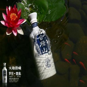 會稽山純和12年陳紹興酒1