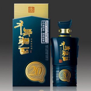 千年湘西洞藏20年