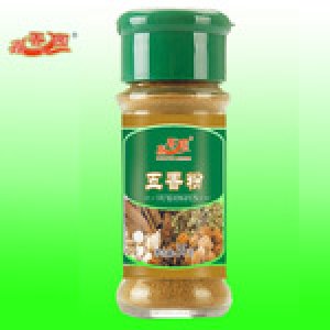 廠家熱銷五香粉 調(diào)味品 調(diào)味料 批發(fā)
