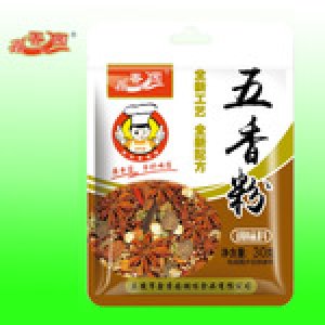 熱銷 特價(jià)批發(fā) 五香粉 調(diào)味品 包子餃子料 調(diào)味料