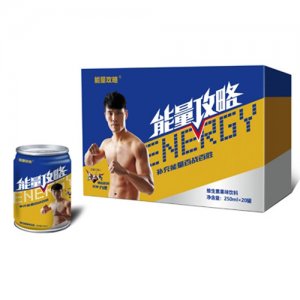 能量攻略維生素果味飲料250mlx20罐