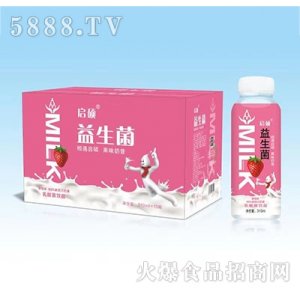 啟碩益生菌奶昔乳酸菌飲品草莓味310ml15瓶