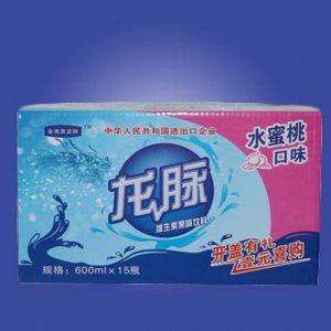 樂品坊龍脈維生素果味飲料（水蜜桃）600mlx15瓶
