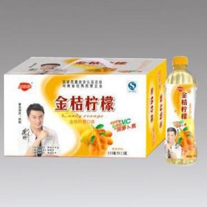 金嬌陽(yáng)金桔檸檬500ml×15瓶