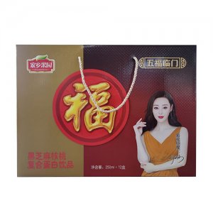 家鄉(xiāng)果園黑芝麻核桃復(fù)合蛋白飲品禮盒