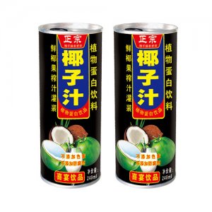 達(dá)億元椰子汁椰汁飲料植物蛋白飲料240ml