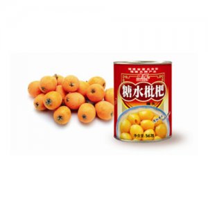 康輝糖水枇杷罐頭