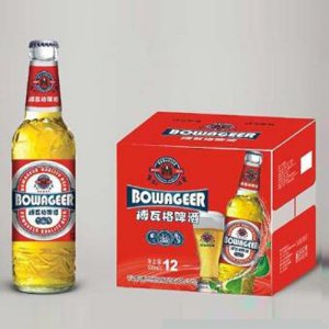 恒創(chuàng)動力博瓦特啤酒紅標500mlx12