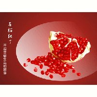 上海綠聯(lián)實業(yè)投資有限公司