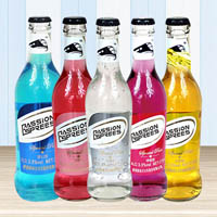 香港新動(dòng)力火車股份有限公司