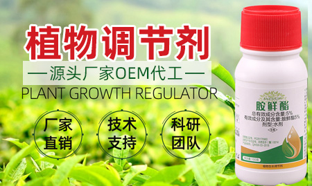 鄭州中科化工產(chǎn)品有限公司