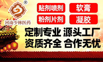 河南少林醫(yī)藥科技有限公司