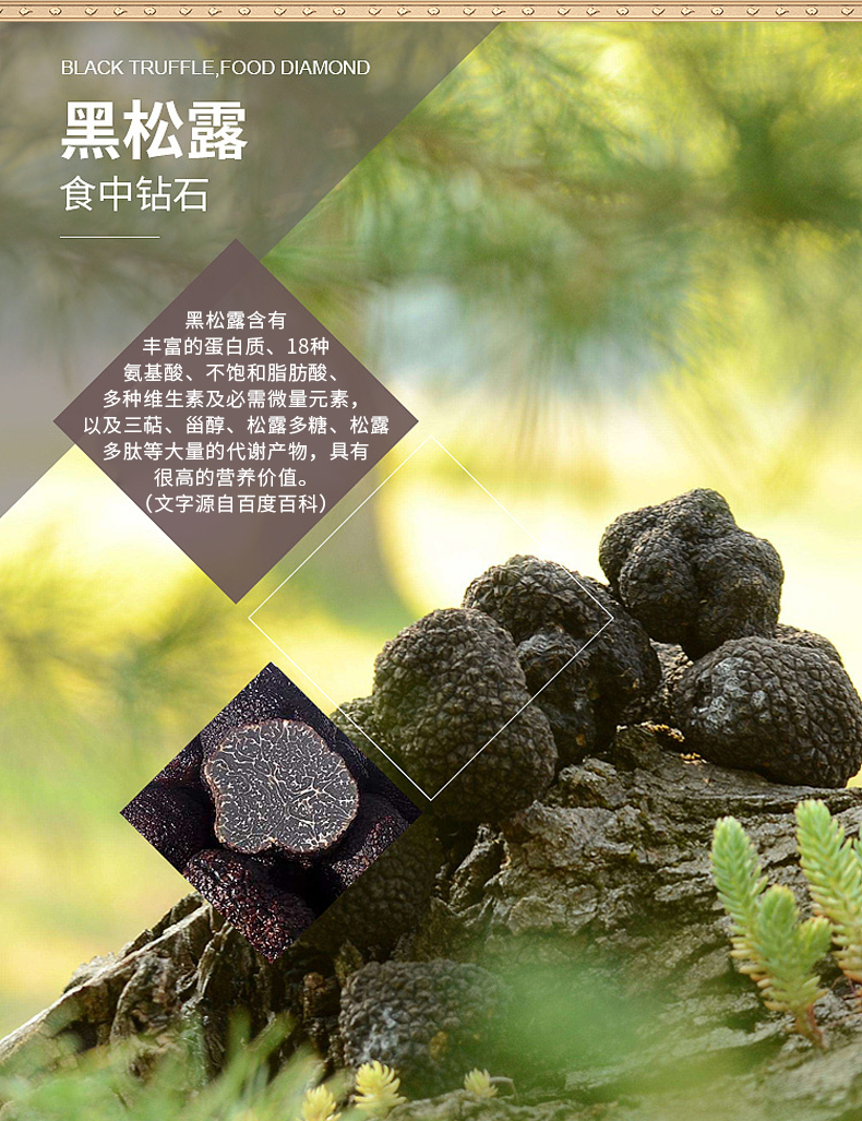 黑松露人參肽_05.jpg