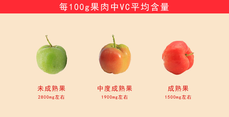 針葉櫻桃維生素C(天貓)_05.jpg
