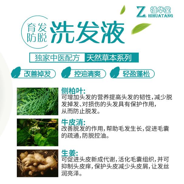 育發(fā)防脫洗發(fā)液詳情.jpg