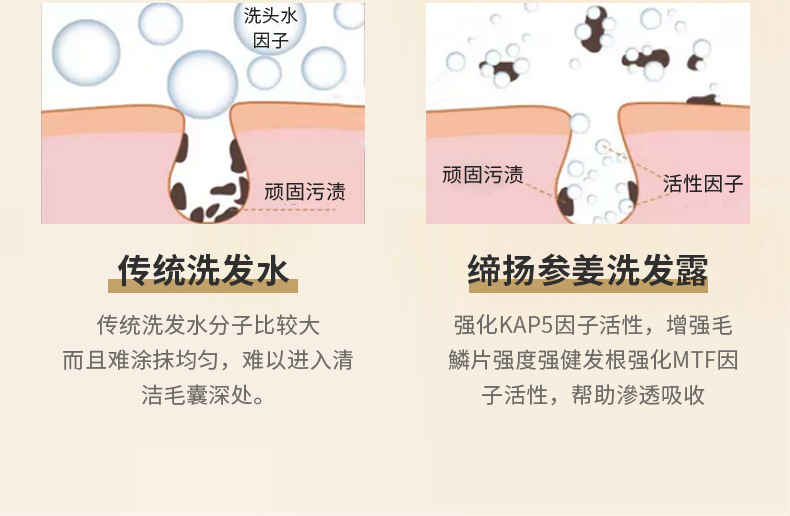 去屑柔順洗發(fā)露深層潔凈蓬松改善頭皮止癢持久留香洗發(fā)水 (5).jpg