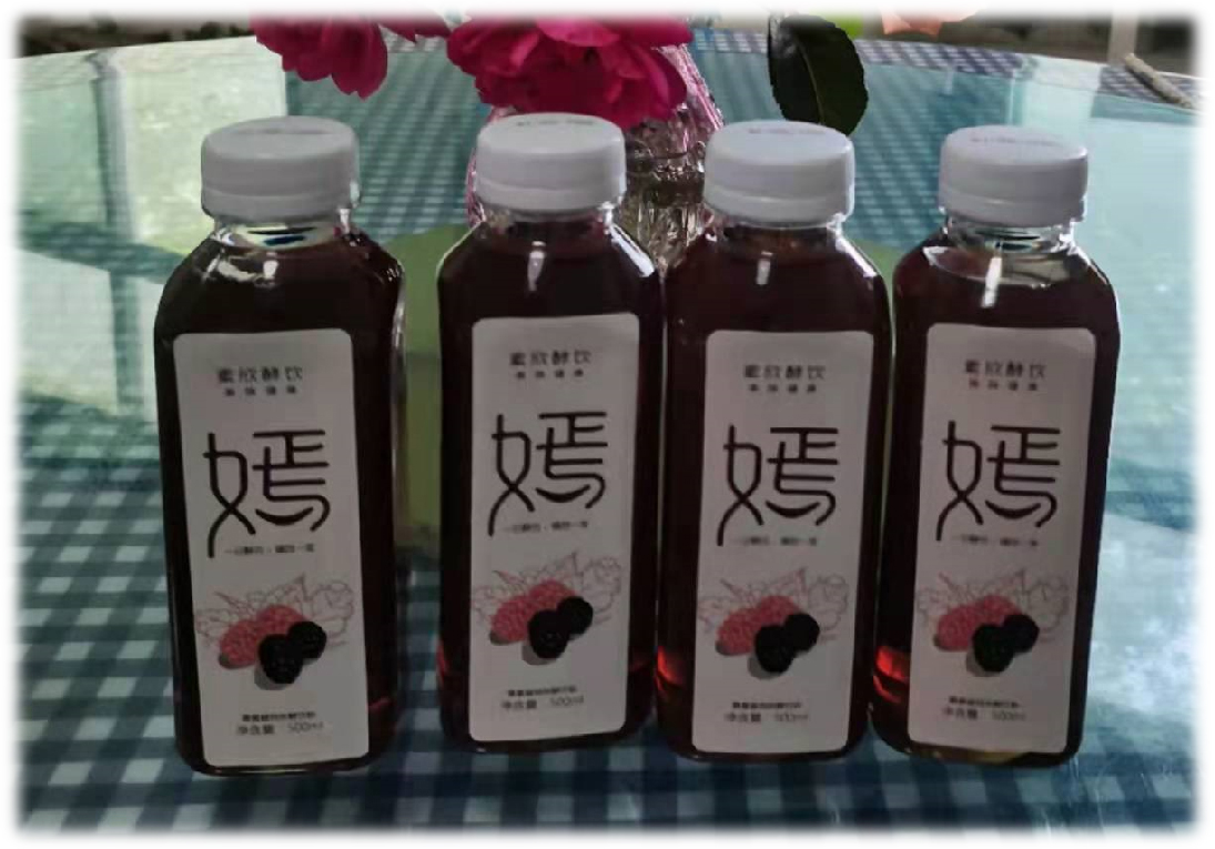 桑葚飲料代加工-可任性定制-成本低-出貨快