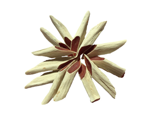 寵物鴨肉意大利面 - 副本.jpg