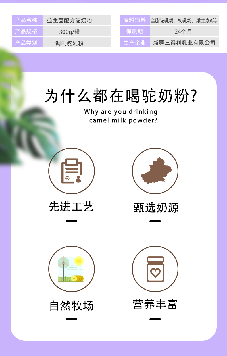 塞上傳奇300g益生菌配方駝奶粉詳情頁_02.jpg