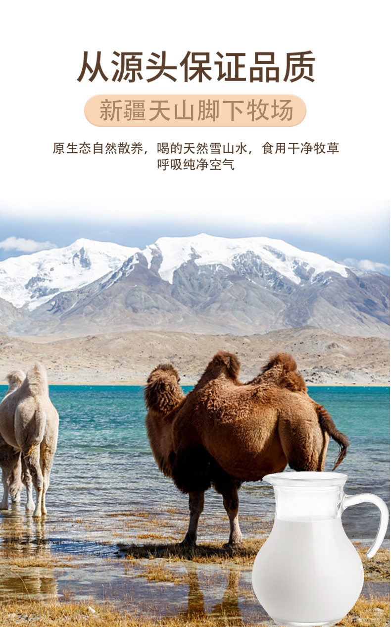 西域總督全脂純駝乳粉_03.jpg
