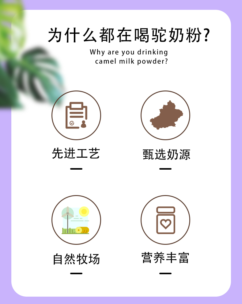 塞上傳奇120g益生菌配方駝奶粉詳情頁_03.jpg