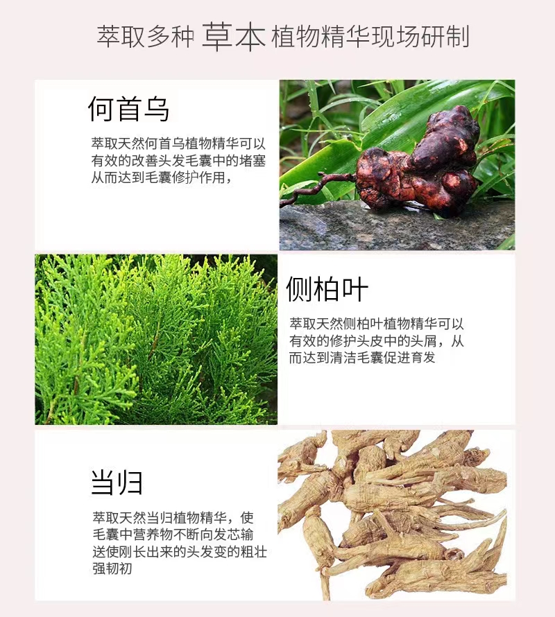 養(yǎng)·人參 養(yǎng)護型頭療湯1.jpg