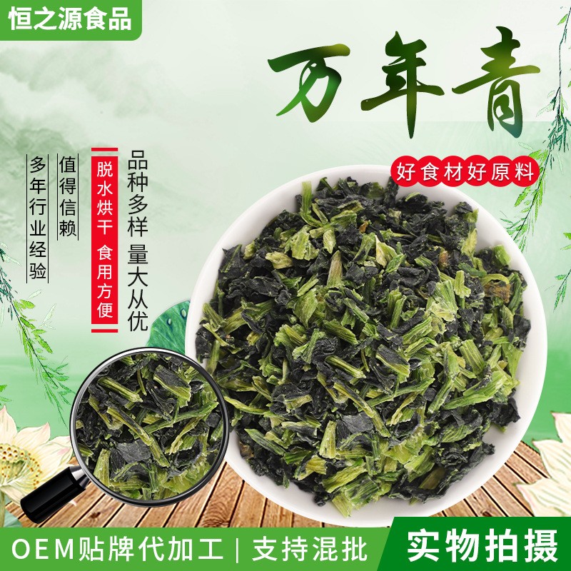 脫水蔬菜萬年青 散裝脫水干菜涼拌菜 脫水菜心 批發(fā)供應(yīng)量大價優(yōu).jpg