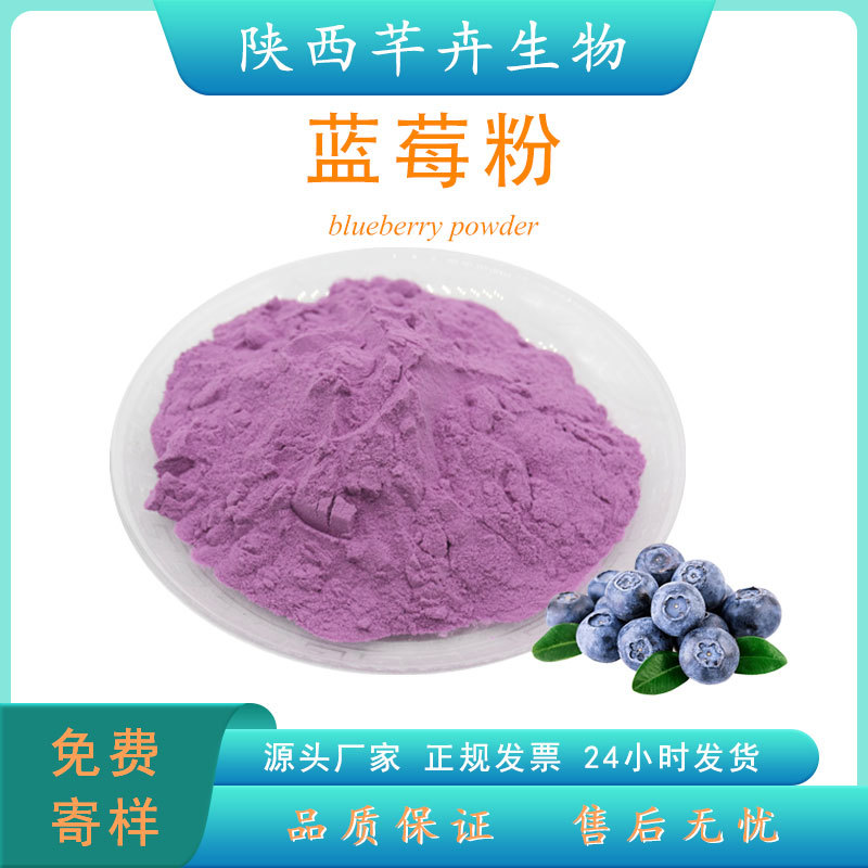 藍莓粉食品級 藍莓提取物 水溶藍莓果粉 藍莓汁 濃縮粉 廠家現(xiàn)貨.jpg