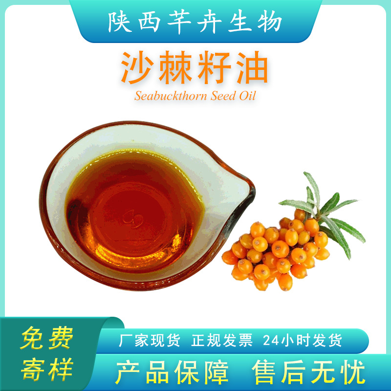 沙棘籽油99% 沙棘油 沙棘軟膠囊 保健品食品原料 超臨界萃取 現(xiàn)貨.jpg