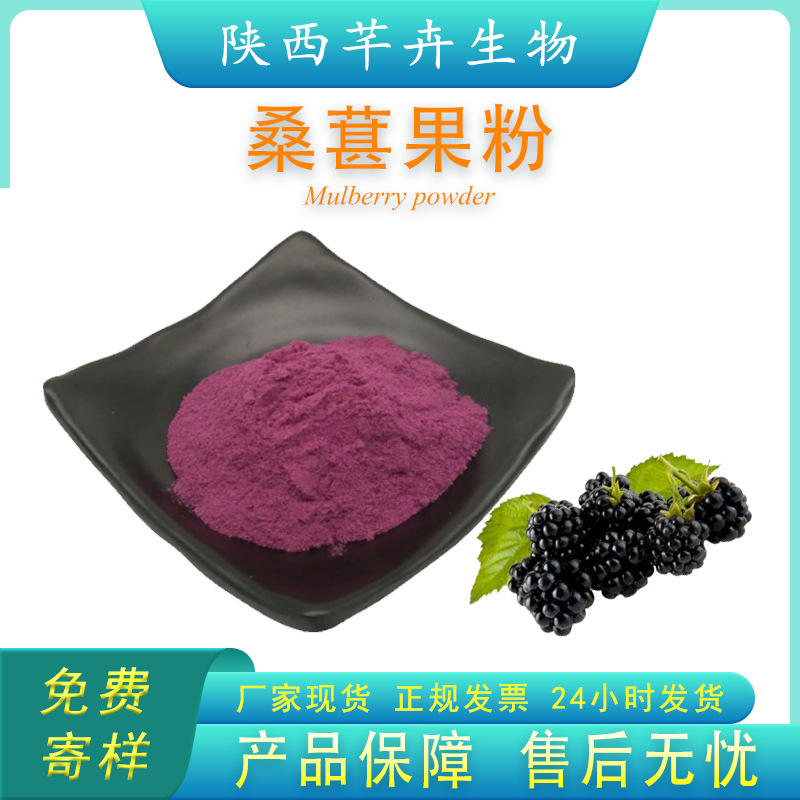 桑葚粉99% 水溶桑葚果粉 桑葚提取物 另有桑葚凍干粉 1KG廠家包郵.jpg