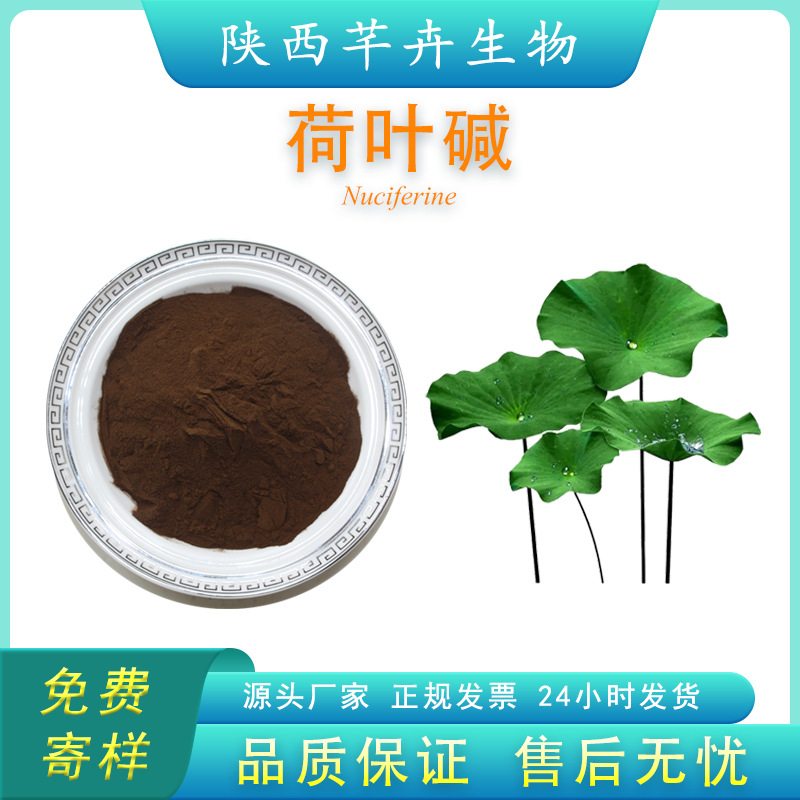 荷葉堿2% 荷葉提取物 另有荷葉堿98% 優(yōu)質(zhì)荷葉濃縮粉 廠家現(xiàn)貨.jpg