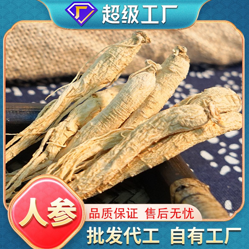OEM加工定制山參干人參批發(fā)火鍋煲湯泡酒無(wú)熏硫整枝生曬參代發(fā).jpg