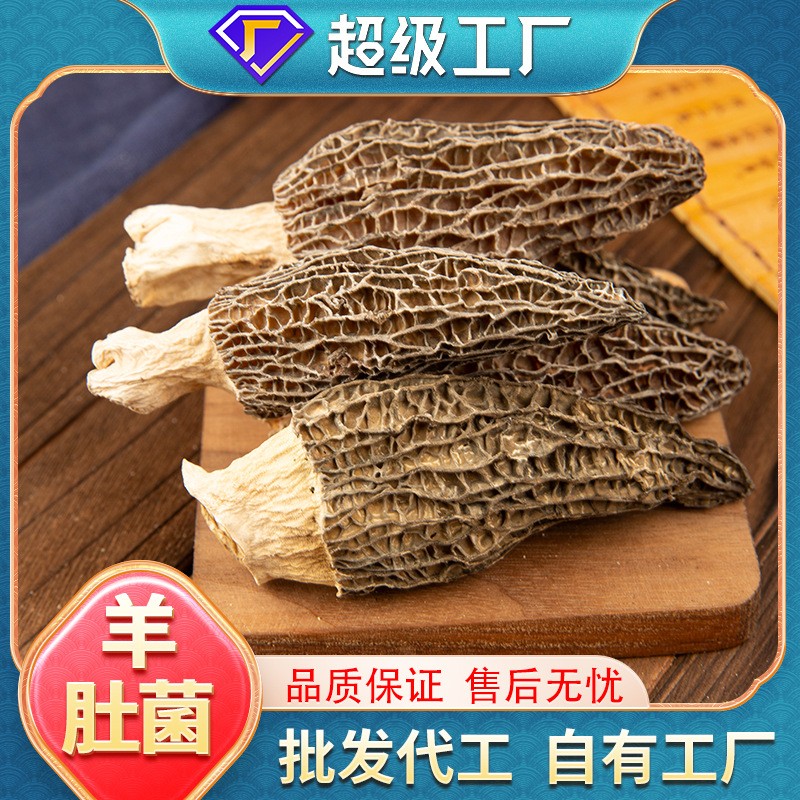 批發(fā)現(xiàn)貨正品羊肚菌100g袋裝煲湯火鍋食材家用商用羊肚菌一件代發(fā).jpg