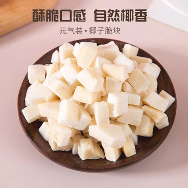 椰子脆塊 椰子脆片 椰子果干 椰子片 烤椰塊休閑小零食.jpg