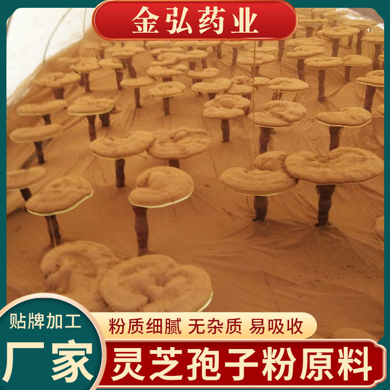 大別山靈芝孢子粉原料 可備案 資質(zhì)齊全.jpg