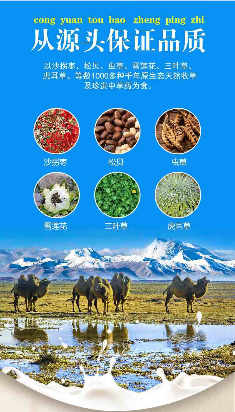 中駝福乳酸菌初乳配方駝乳粉 (3).jpg