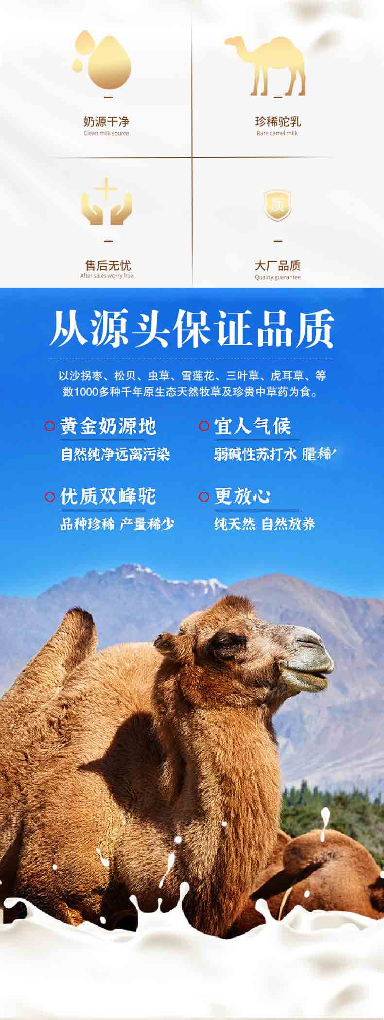 薩克駝初乳益生菌駝乳粉詳情_(kāi)02.jpg