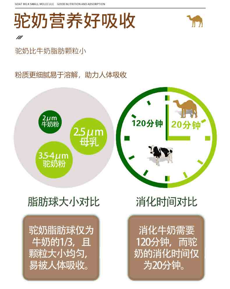 薩克駝初乳益生菌駝乳粉詳情_(kāi)06.jpg