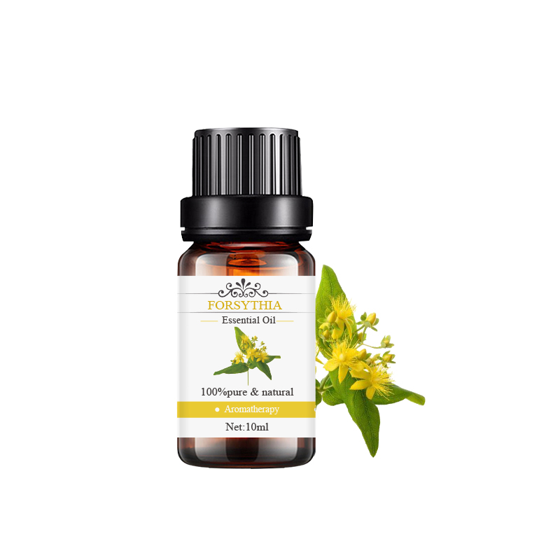 連翹 Forsythia.jpg