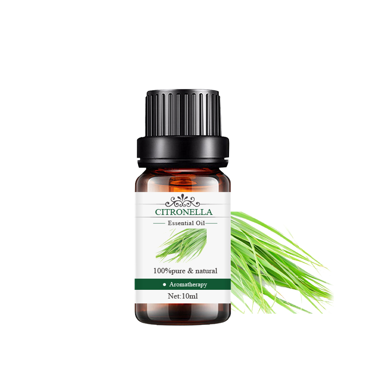 香茅 Citronella.jpg