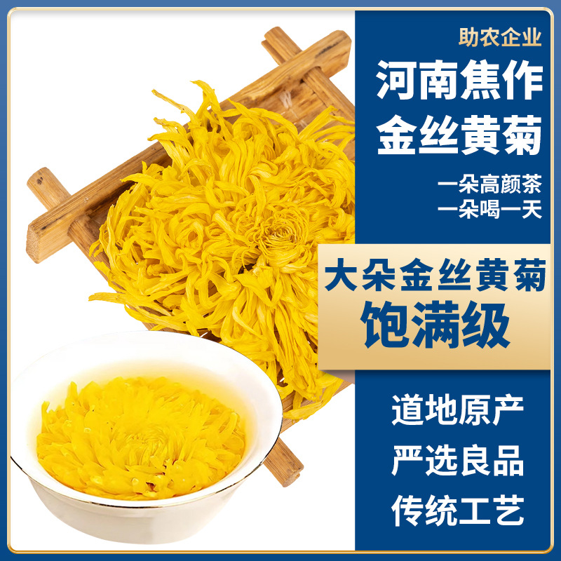 菊花茶茶葉金絲皇菊焦作特產(chǎn)菊花黃菊大朵創(chuàng)源堂廠家批發(fā).jpg