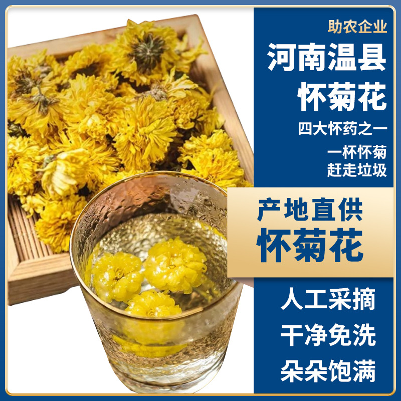 菊花茶廠家批發(fā)干菊花懷菊花茶葉創(chuàng)源堂廠家直銷.jpg