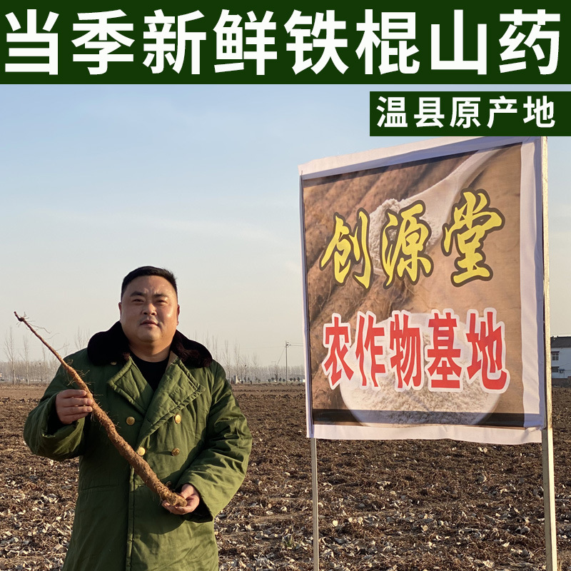 廠家批發(fā)新鮮鐵棍山藥河南特產焦作壚土鐵棍山藥溫縣鐵桿懷山藥棍2.jpg