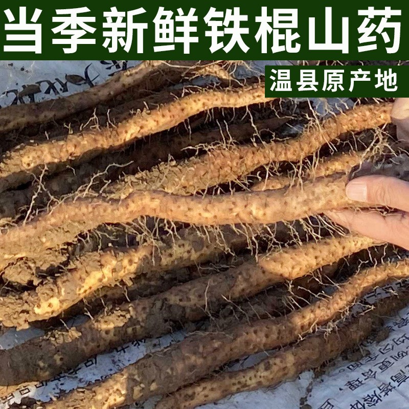 廠家批發(fā)新鮮鐵棍山藥河南特產焦作壚土鐵棍山藥溫縣鐵桿懷山藥棍.jpg