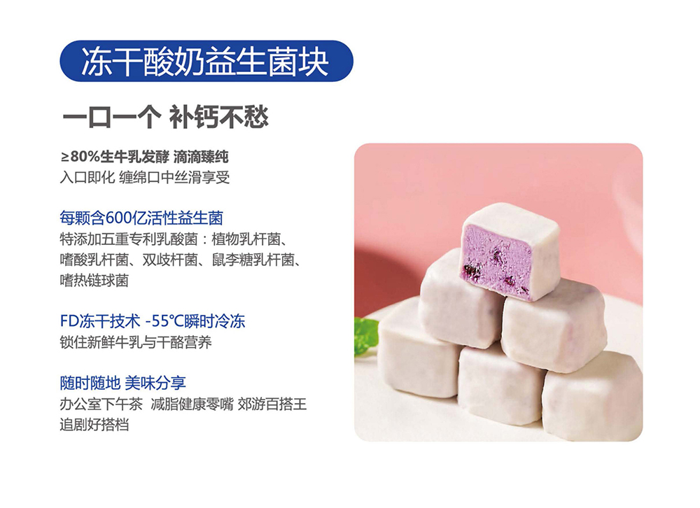 凍干酸奶益生菌塊.jpg