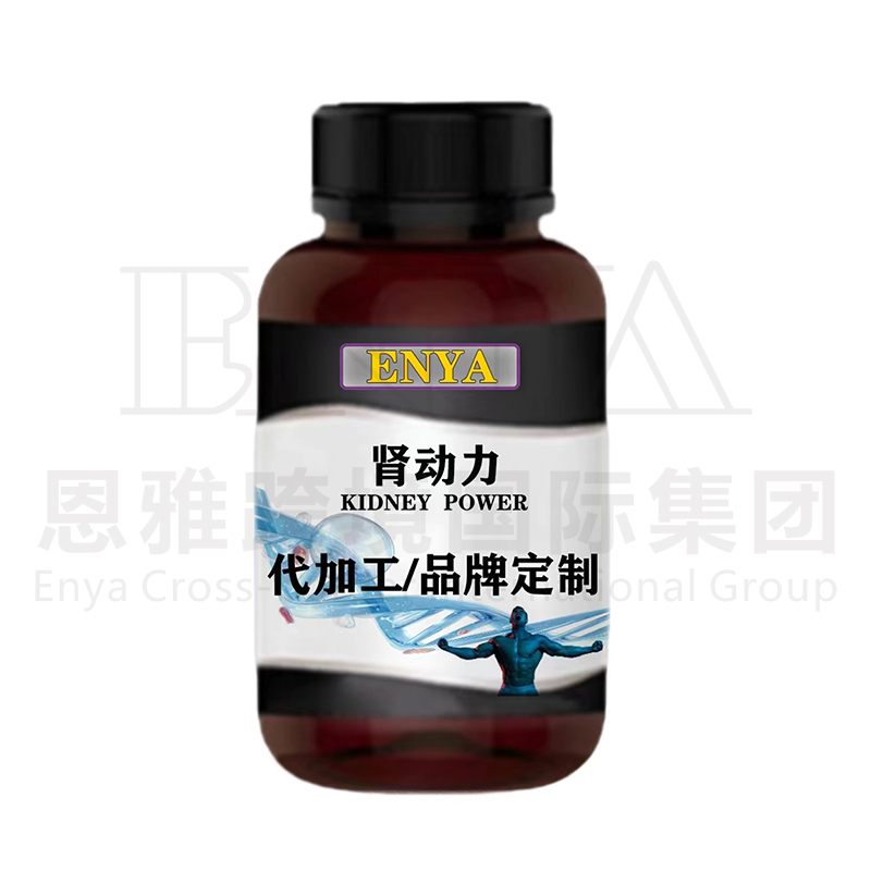 腎動(dòng)力.jpg