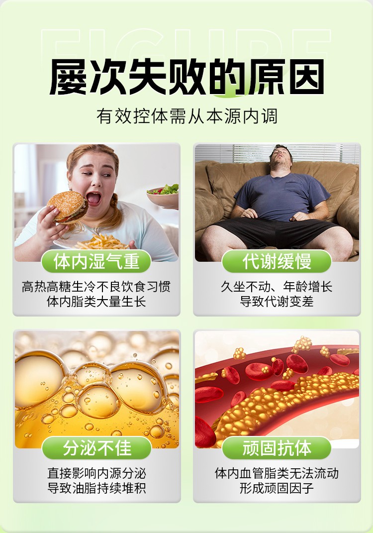 左旋肉堿茶多酚顆粒詳情_03.jpg