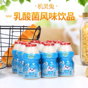 100mlx40機(jī)靈兔乳酸菌兒童營(yíng)養(yǎng)早餐酸牛奶代加工貼牌OEM/ODM
