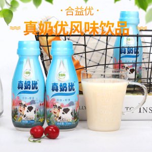 合益優(yōu)真奶優(yōu)活性乳酸菌飲料310mlx12瓶貼牌定制代加工